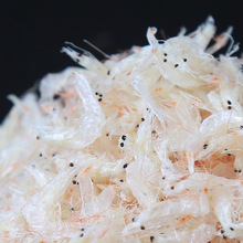 淡干虾皮小虾米新鲜海米补钙虾皮粉非特级无盐添加海鲜干货250g