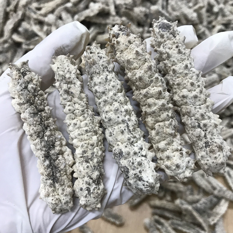 【惠尔本】印尼原刺参白刺参 刺王白刺参 淡干海参 海参干货