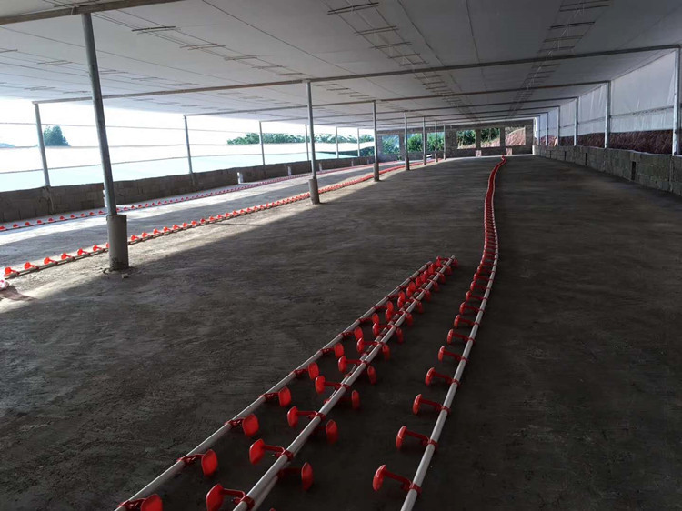 鸡用自动水线 肉鸡料线 散养鸡自动水线 料线 鸡用水线 鸡用料线