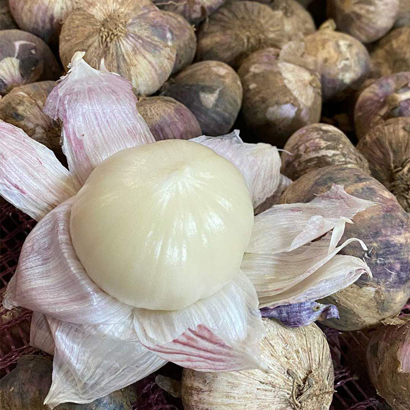 云南紫皮独头蒜3斤装 新鲜大蒜农家蔬菜湿蒜头现挖批发包邮