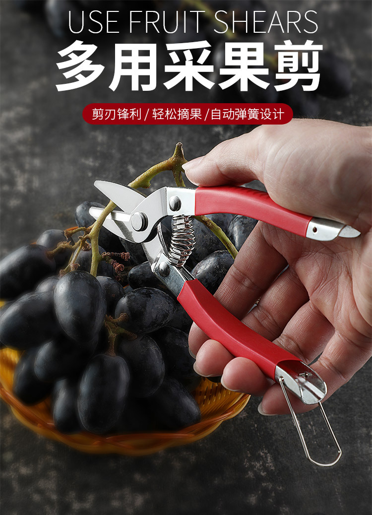 新款葡萄水果剪刀稀果摘果剪盆景修枝园艺园林果剪树枝剪果树采果