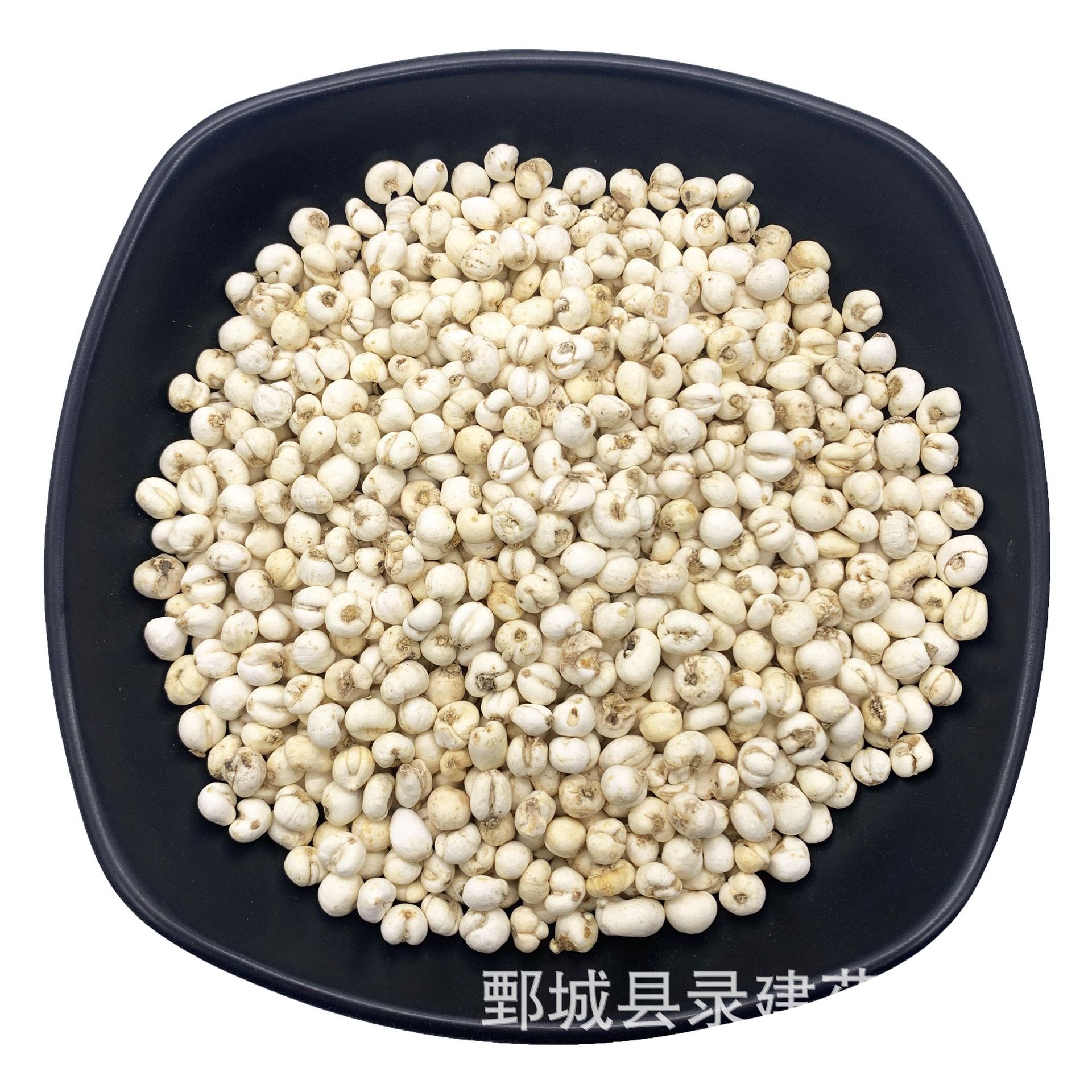 贝母 怀中抱月 平贝母 浙贝母 选装 500g 产地浙江 录建药材栈