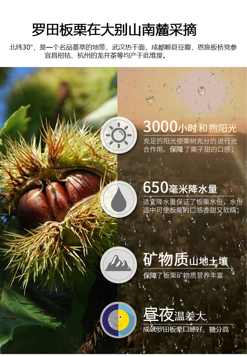 益佳欣500g*20袋速冻板栗仁纸箱装 机剥去皮罗田板栗煲汤烧鸡栗子