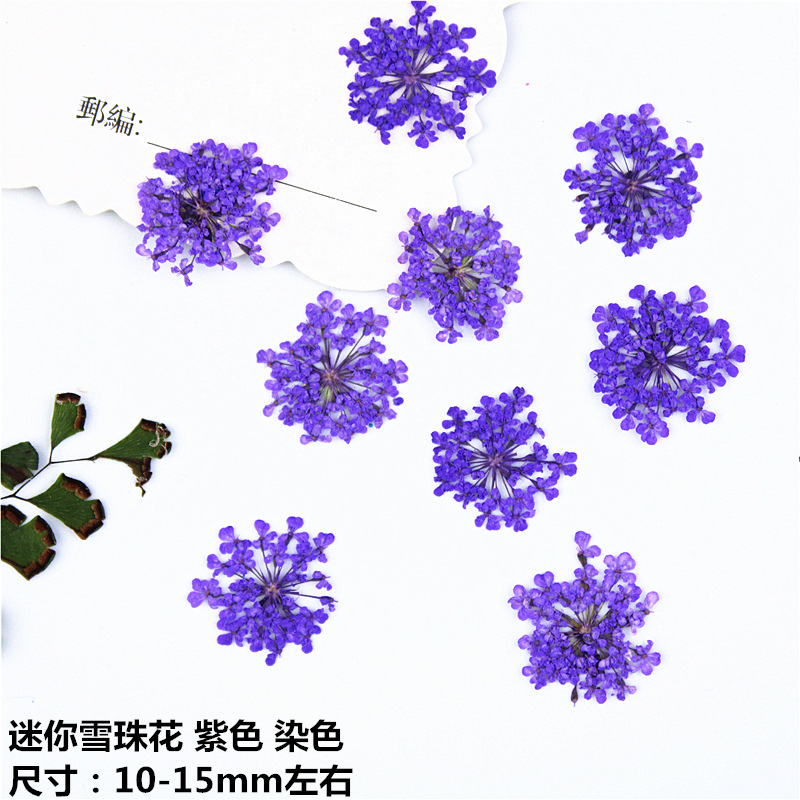 Snow Flower Beads Small Lace Flower Mini Nail Beauty Dried Flowers Plant Specimen Face Decoration Petal Makeup Sticker Face Flower