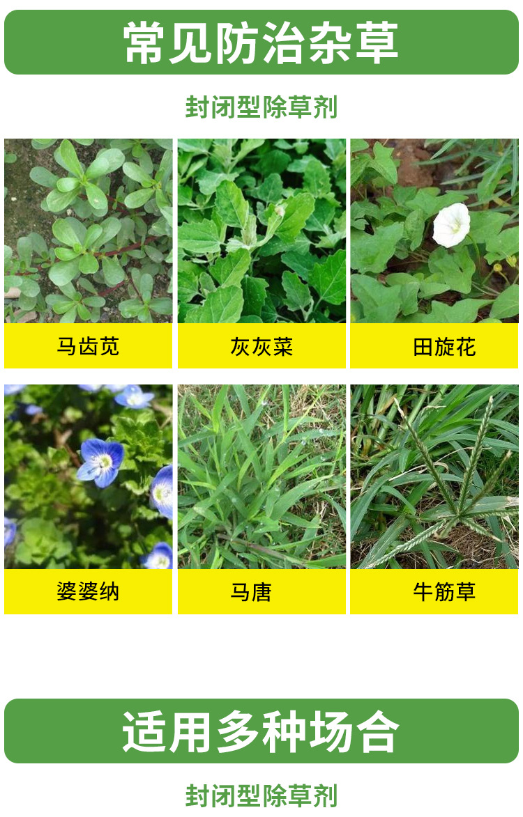 浩田朴33% 二甲戊灵一年生禾本科杂草及部分阔叶杂草封闭除草剂
