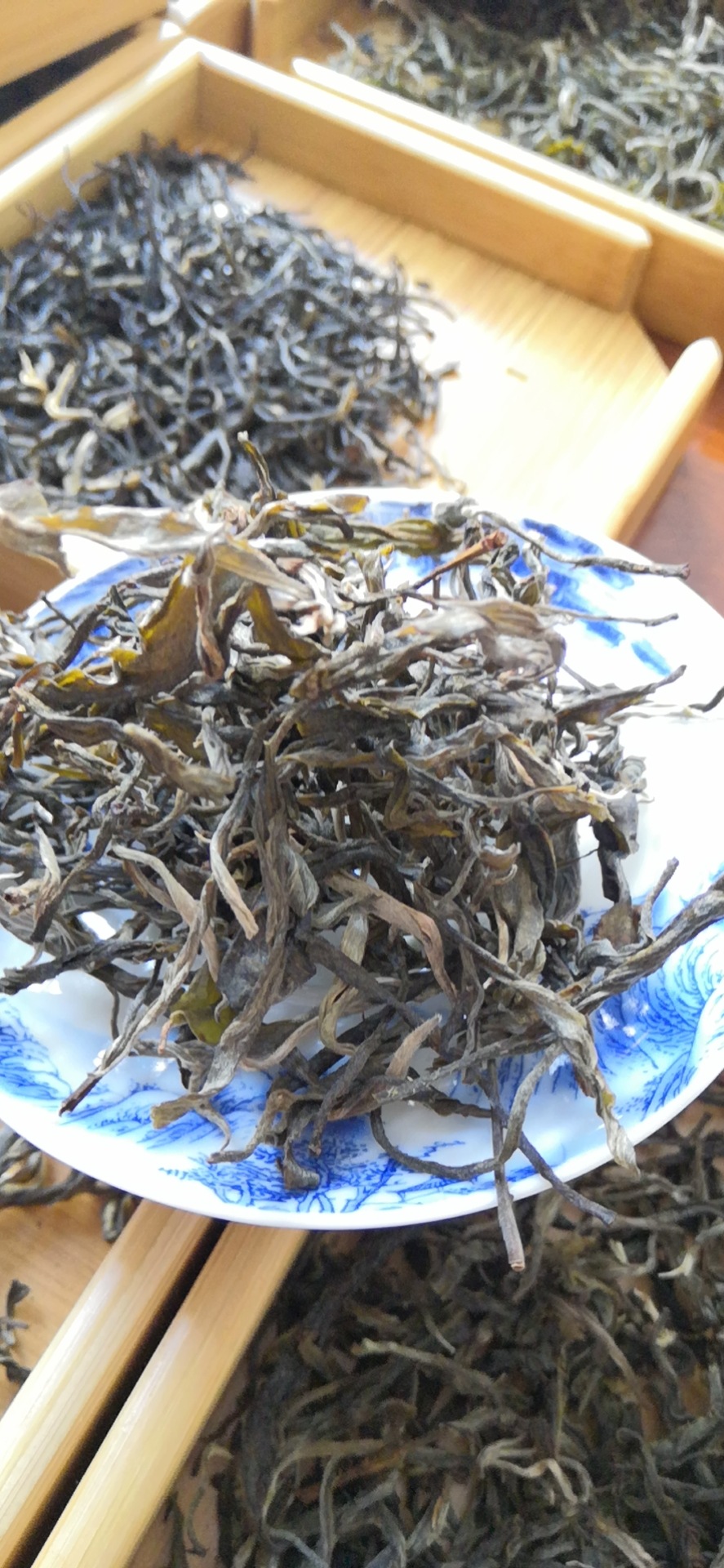 咏普号凤庆高海拔 生普 毛料 古树茶 老树茶普洱茶 平河普洱茶