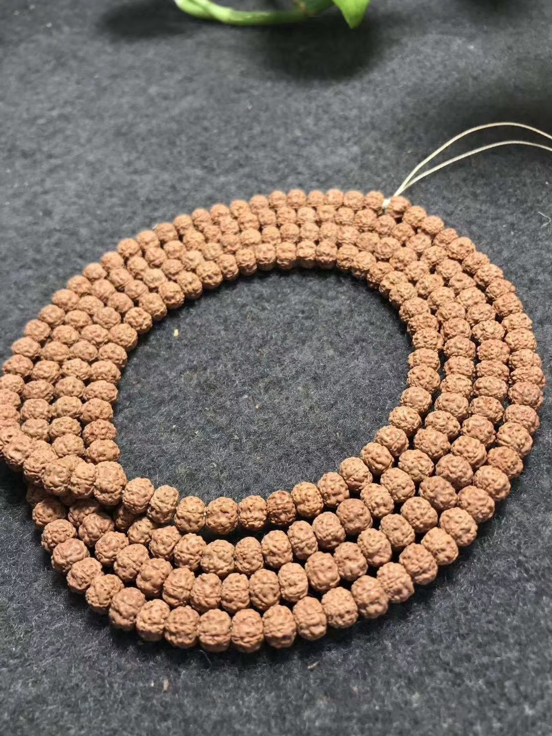 印尼小金刚长串,五瓣同树籽小钢豆小金刚 小尺寸(货号20)