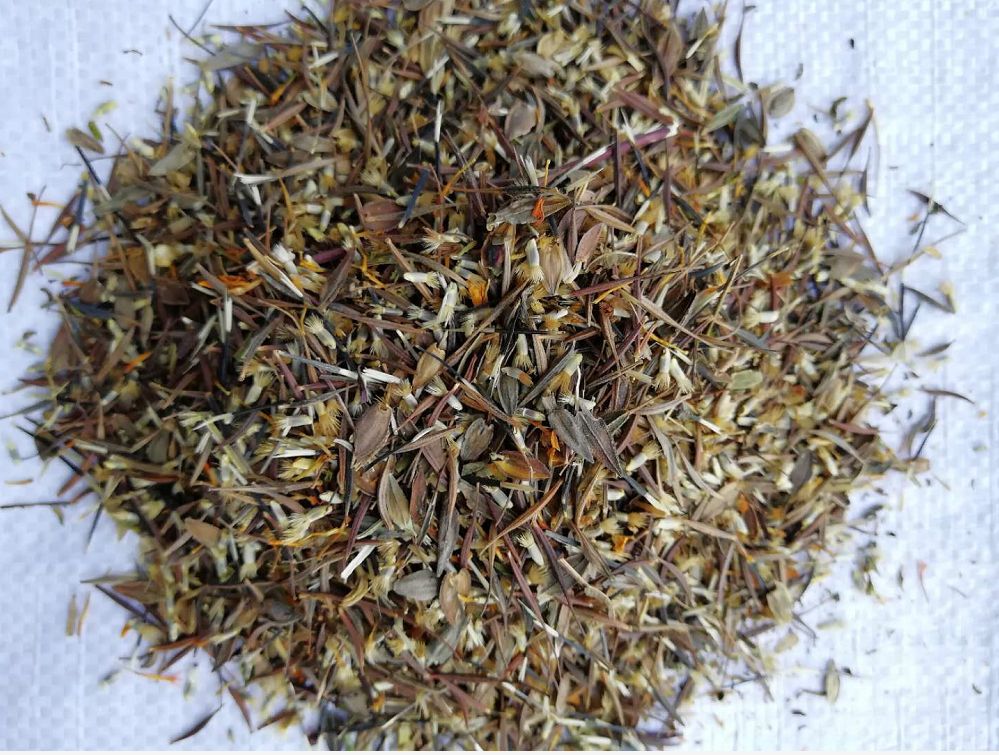 批发 花海种子 护坡道路花海,野花组合