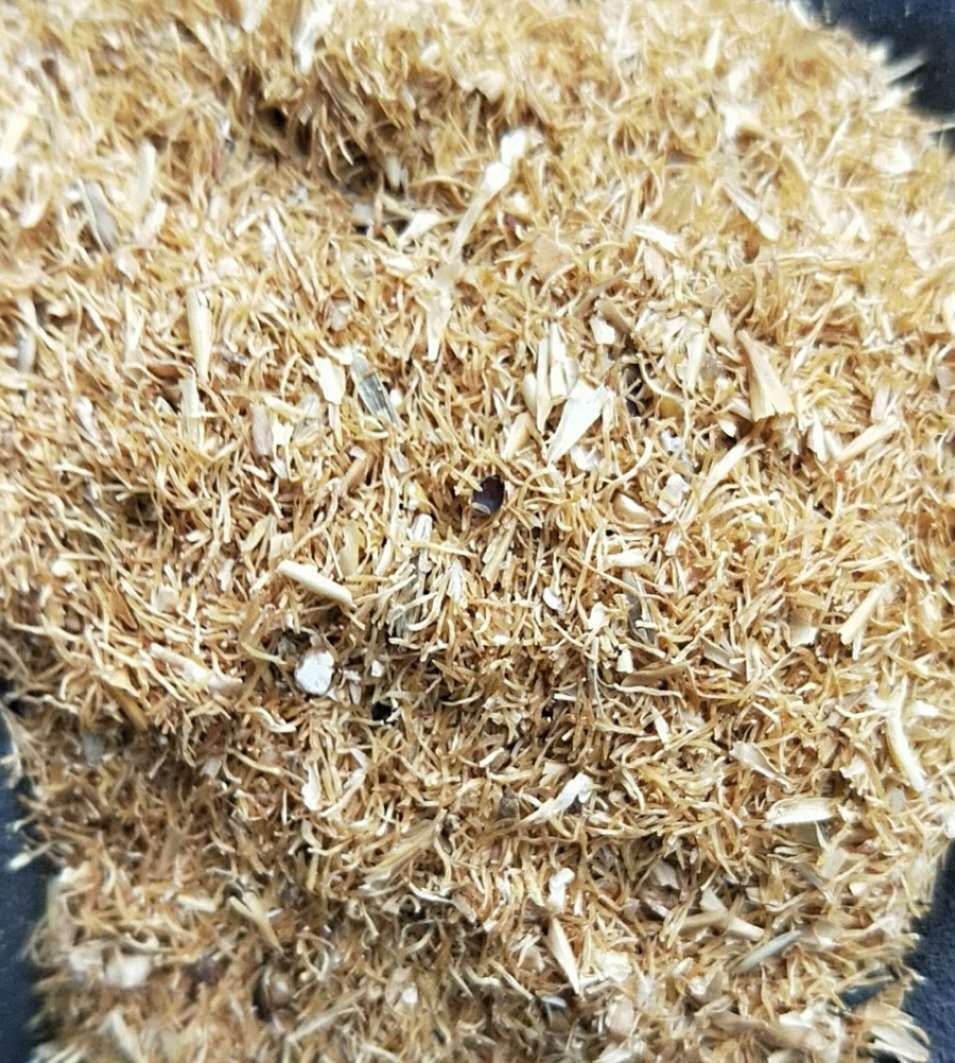 供应麦芽根,适合兔饲料