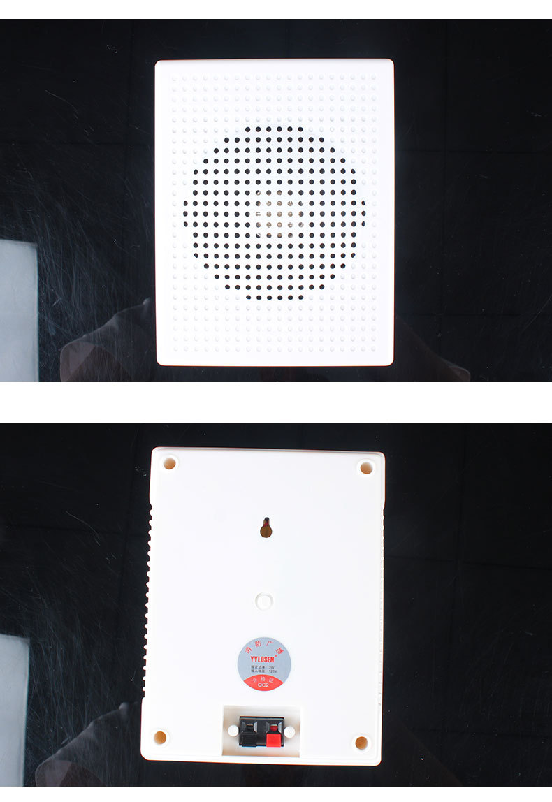 ls-112壁挂音箱 消防音响背景音乐系统学校教学会议音箱