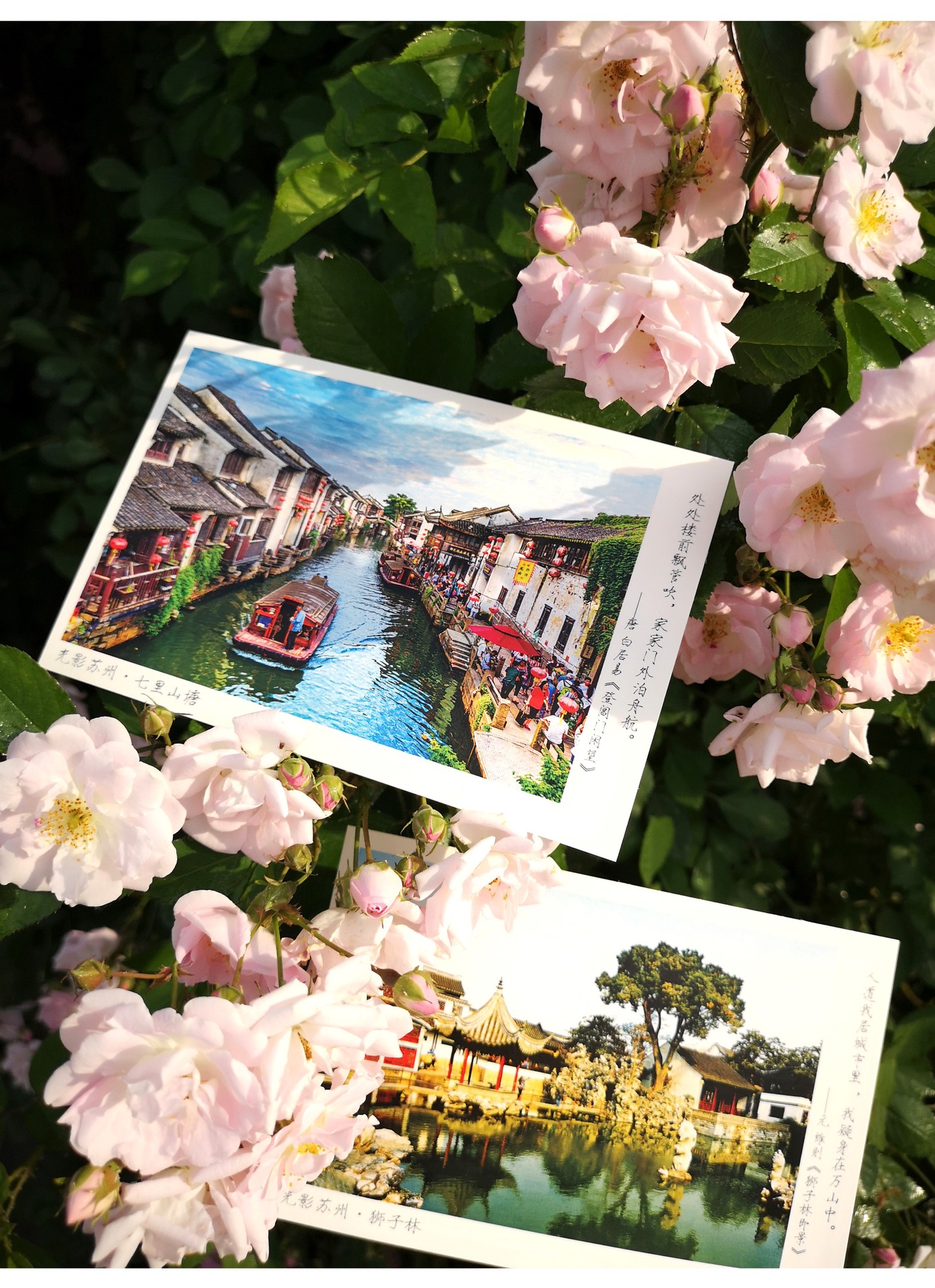 苏州手绘摄影明信片地图书签旅游纪念品出差城市风景本心如荷文创