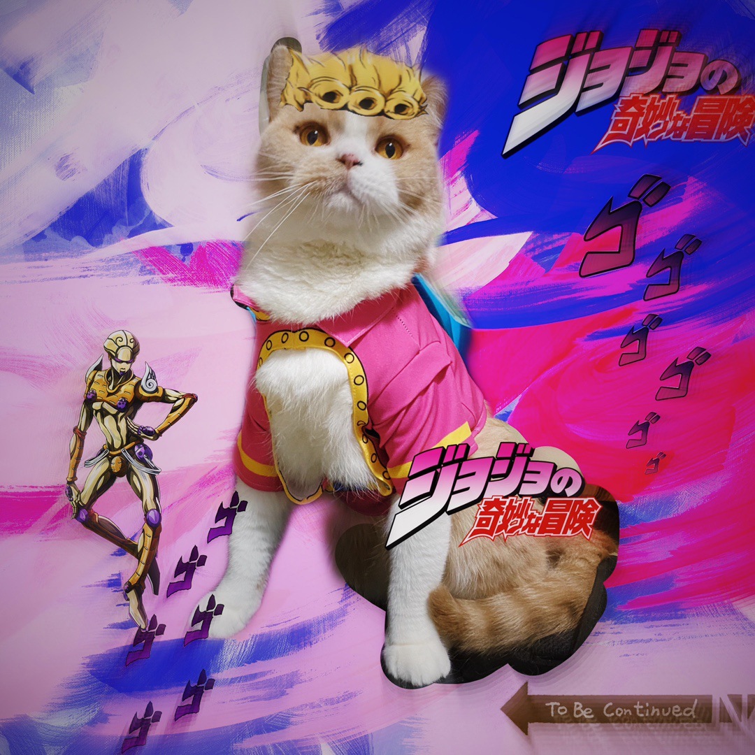 jojo的奇妙冒险乔鲁诺乔巴纳宠物用品猫咪周边衣服小型犬狗装扮