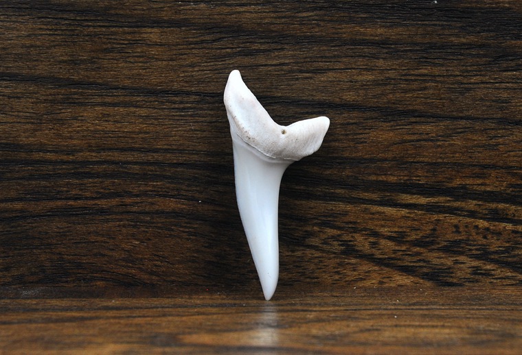 泰国鲨鱼牙齿吊坠男女个性配饰东南亚创意首饰品diy 项坠