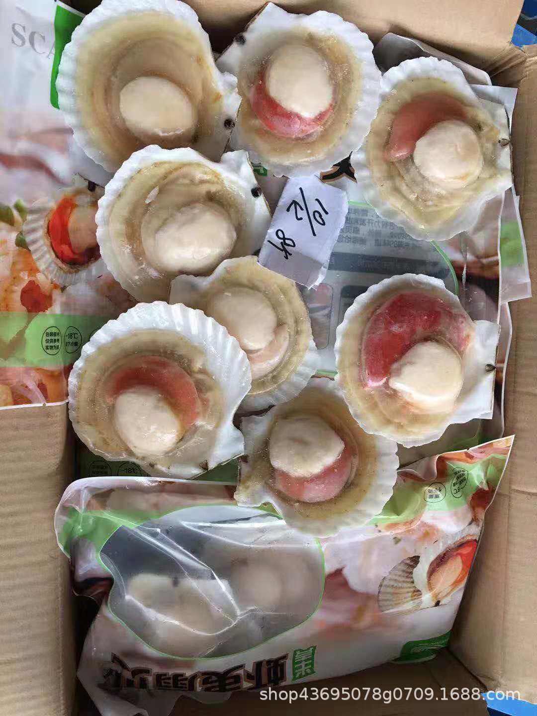 野生扇贝王10-12cm冷冻半壳虾夷帝王贝超大贝柱海鲜烧烤扇贝食材