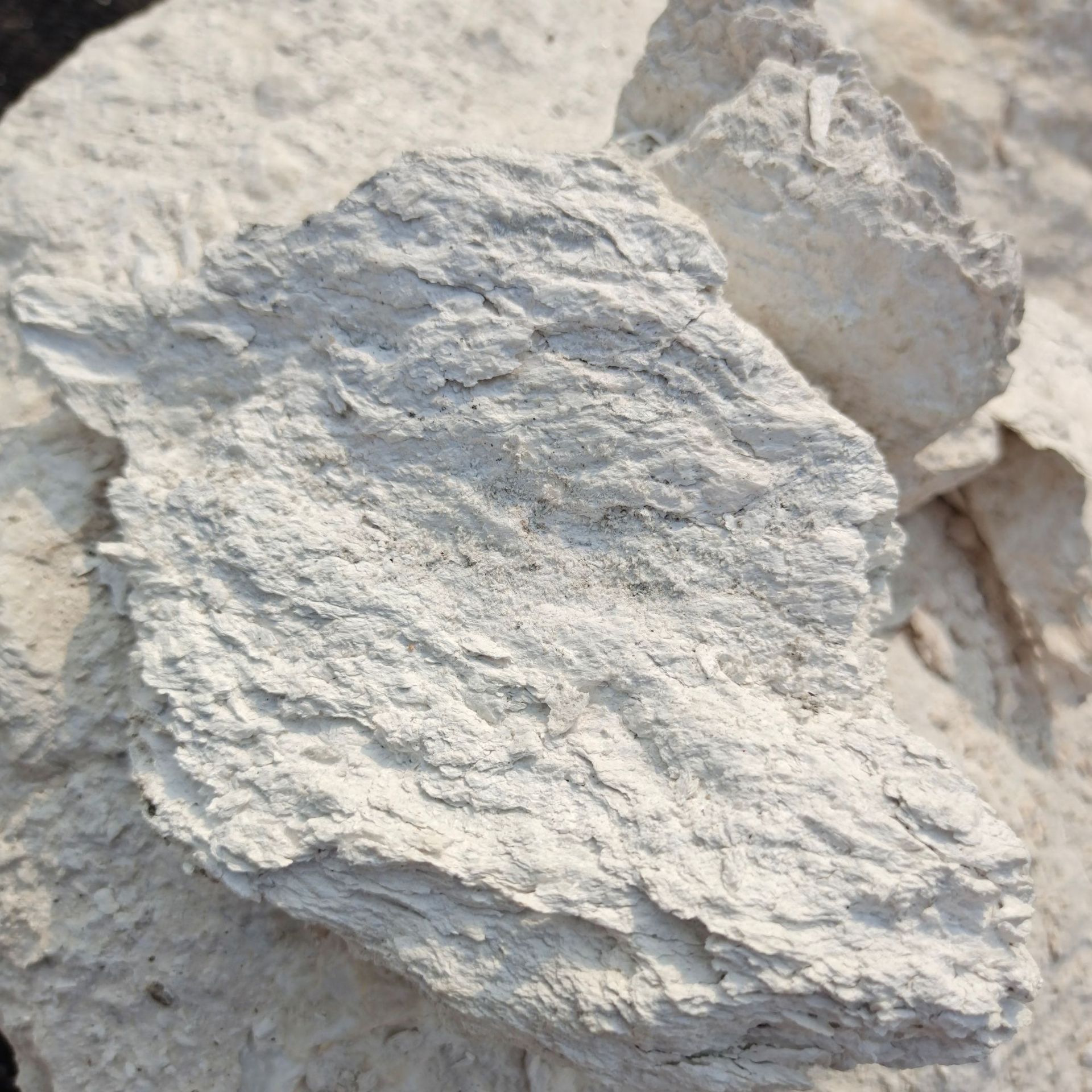 工厂现货直销海泡石粉325目 过滤脱色剂用海泡石粉 海泡石纤维