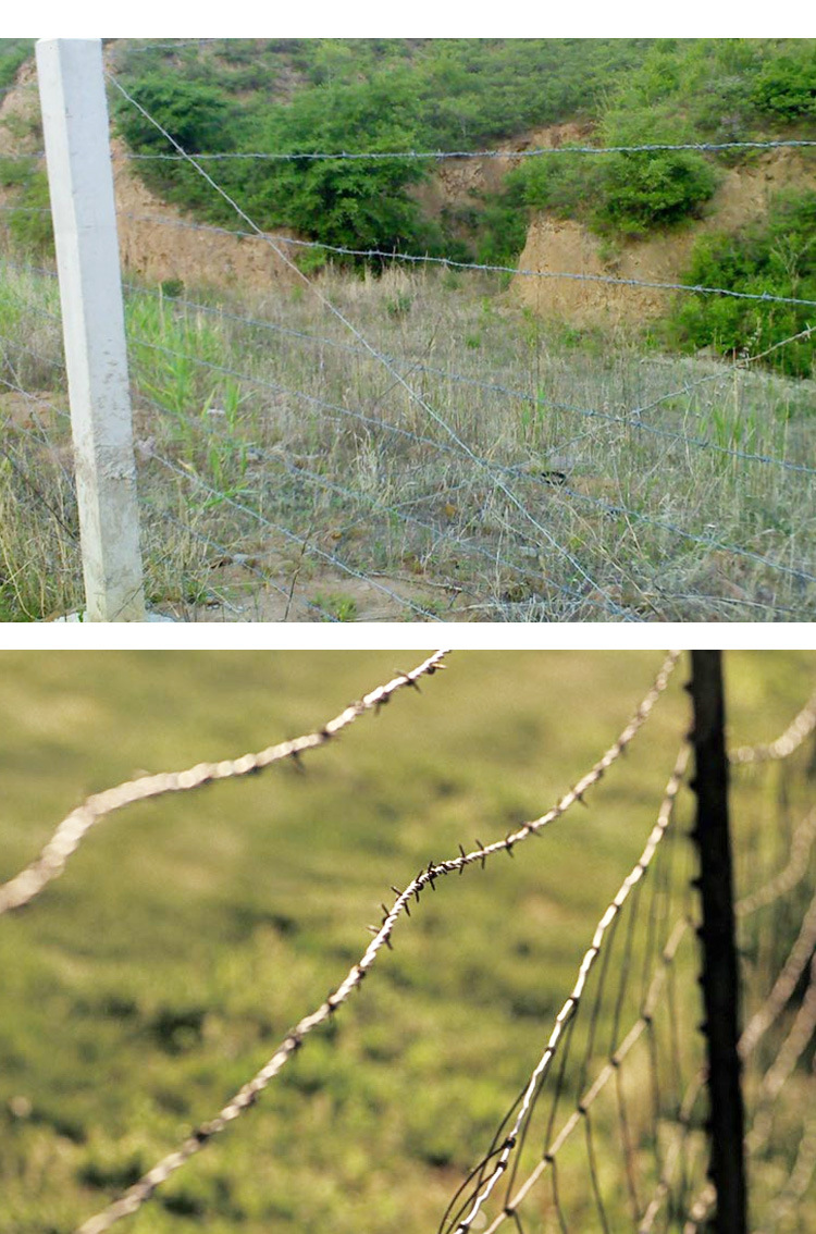 现货定制防盗热镀锌刺绳 不易腐蚀双股刺丝钢丝绳铁丝网镀锌刺绳