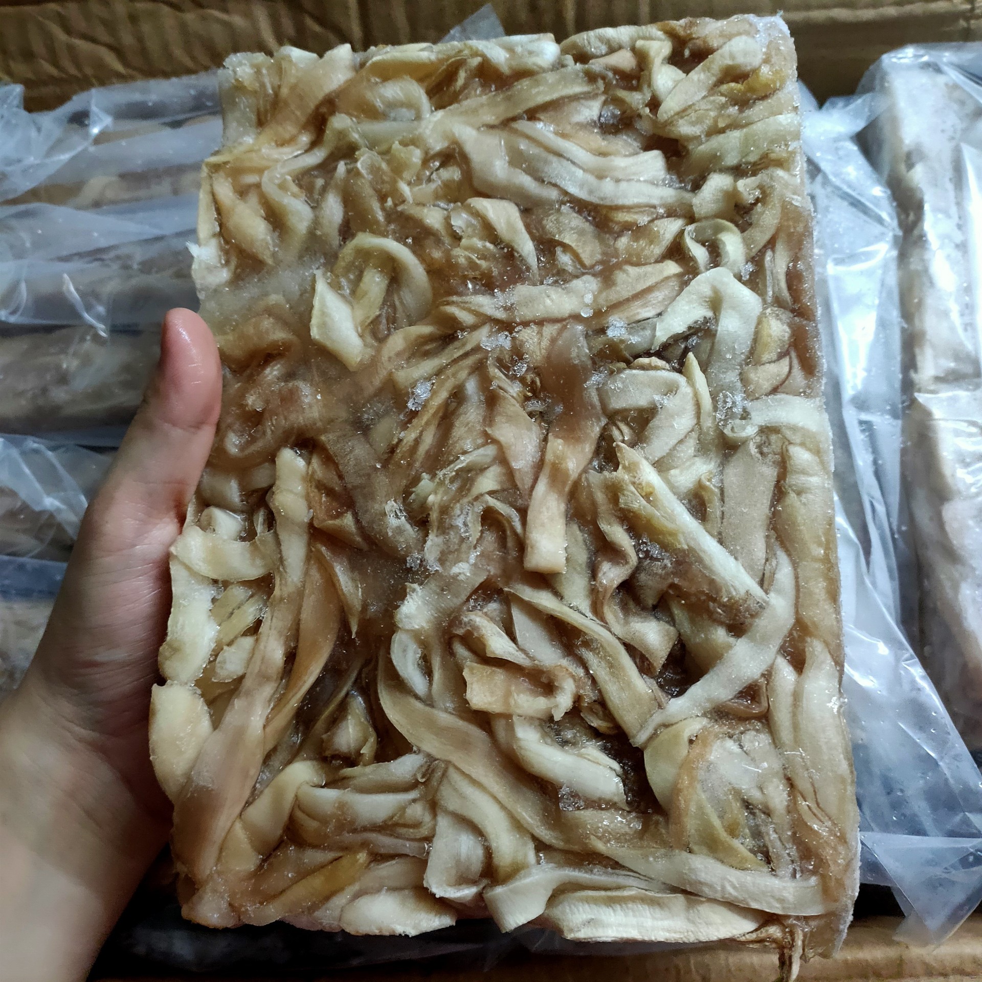 象拔蚌海笋贝 海贝肉 鸟贝 笋贝 冷冻贝类海鲜水产 冷冻品1件20斤