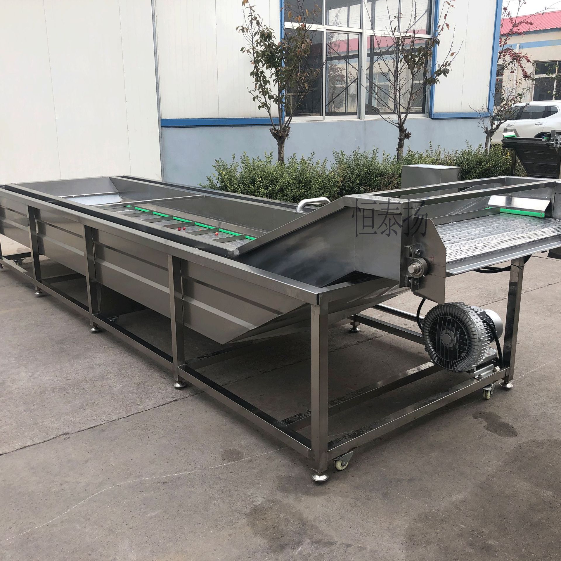 多功能蔬菜清洗机 食堂用臭氧杀菌果蔬清洗机 水果气泡喷淋洗菜机