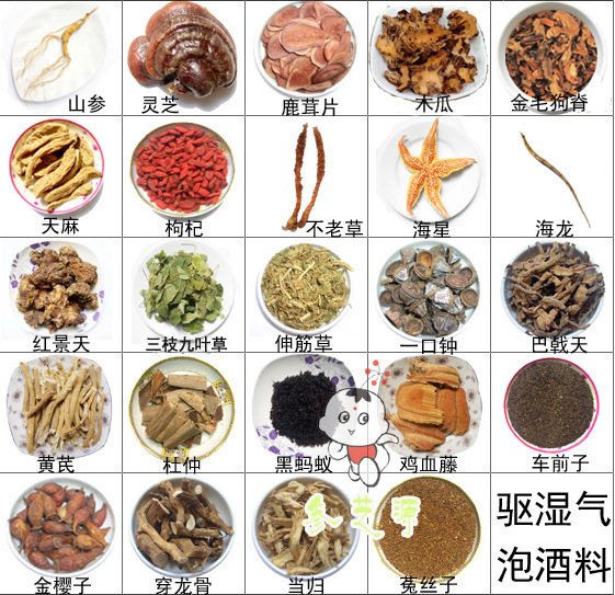 黑蚂蚁,穿龙骨,黄芪,鸡血藤,金樱子,菟丝子,车前子,木瓜,金毛狗脊