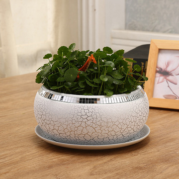 无孔铜钱花盆水仙花盆陶瓷碗睡莲荷花无孔容器水养花器皿陶瓷花盆