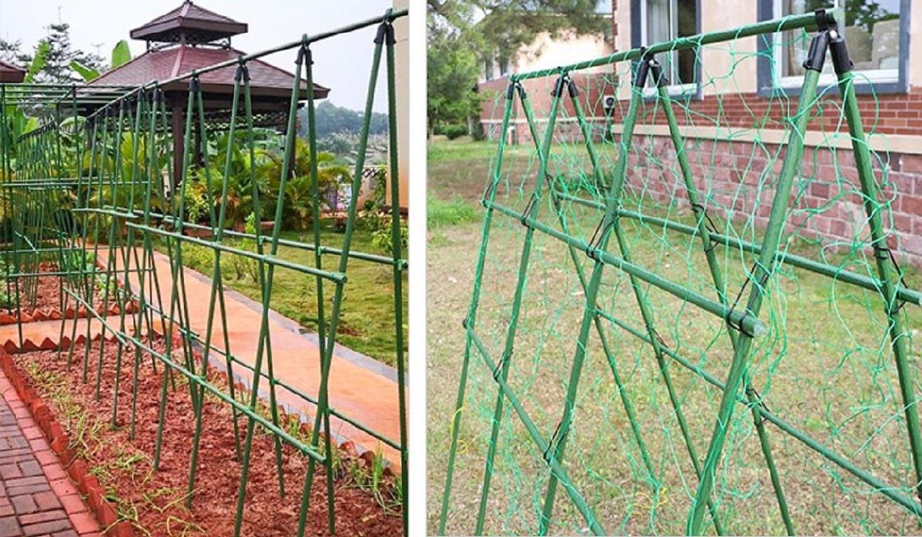 屋顶爬藤架植物南瓜丝瓜.架子葡萄菜园子