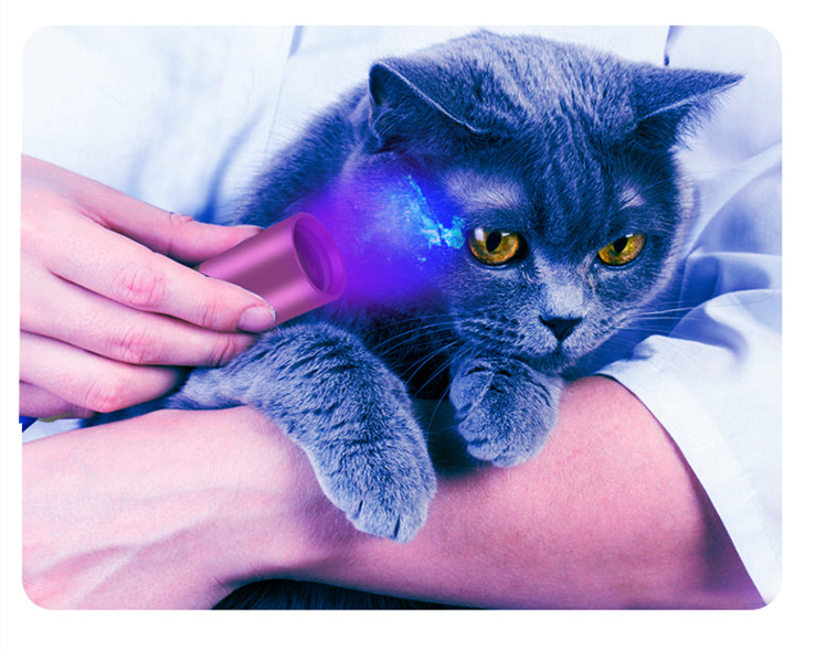 伍德氏灯5wuv紫光验钞手电照猫癣365nm荧光剂紫外线灯usb充电