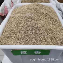 散装蔬菜种子球茎茴香种子割茬茴香种子小茴香种子茴香籽货到付款