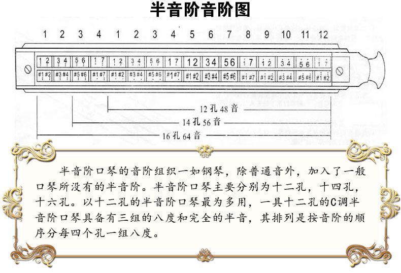 十六孔口琴音阶图图片