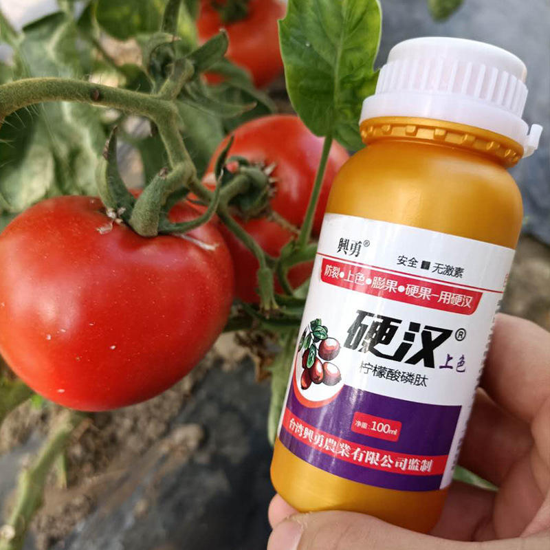 硬汉 柠檬酸磷肽 上色转色高钾高磷 叶面肥水溶肥不返青不软果