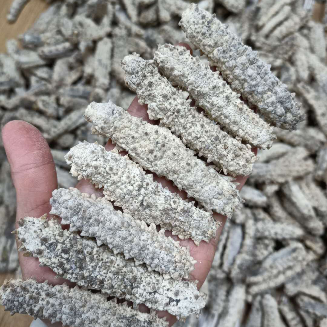 厂家直供足干深海天然白刺参500g礼盒装冻干海参干货250g海味干货