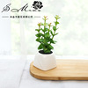 Artificial flower simulation Succulent plants bonsai Plastic Green plant originality Decoration Manufactor Supplying Artificial Flower One piece On behalf of Artificial flower simulation Succulent plants bonsai Plastic Green plant originality Decoration Manufactor Supplying Artificial Flower One piece On behalf of