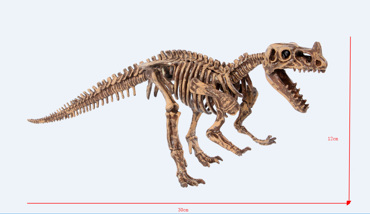 恐龙化石考古玩具小型恐龙益智类启蒙模型化石骨架