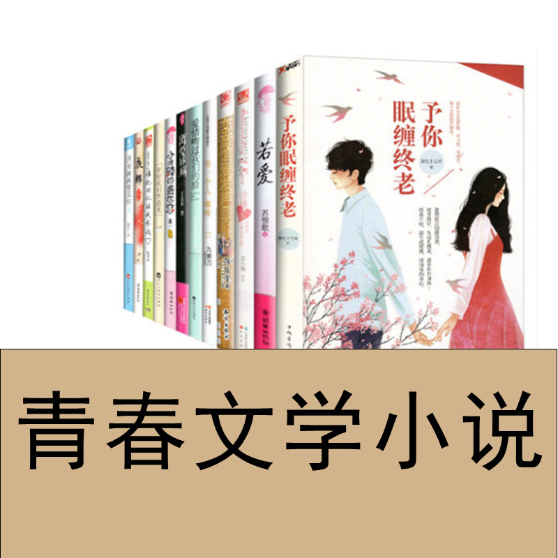 小说言情霸道总裁甜宠耽美催泪电竞古风古风宫斗武侠青春校园小说