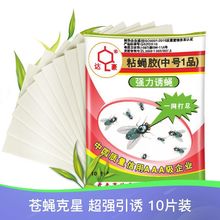 达豪中号1品粘蝇胶 家用10片装粘苍蝇纸 粘蝇纸苍蝇贴诱捕器批发