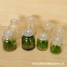 厂家供应耐高温组培瓶菌种瓶育苗瓶兰花植物培养瓶虫草瓶透气盖子