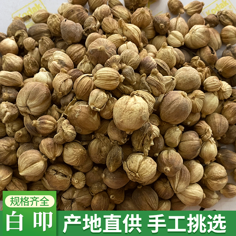 白寇500g香料调料大全 供应白扣豆蔻白叩卤肉大料批发