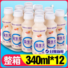 益生元乳酸菌饮品340ml*12瓶整箱特价批儿童成人早餐酸奶牛奶饮料