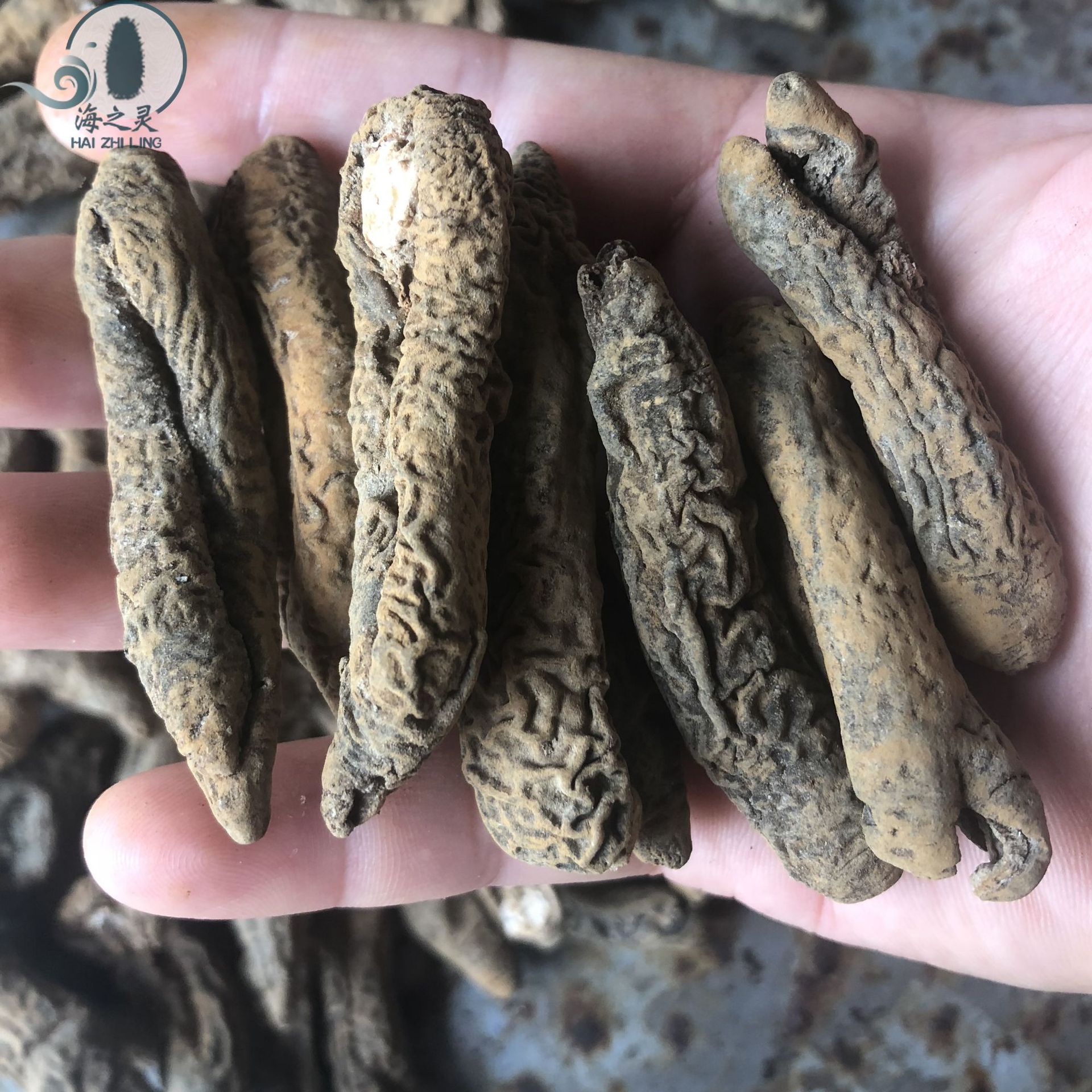 5成干图片均实物拍摄,第一手货源,价格量大从优