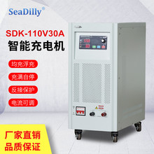 可调智能充电机SDK-110V30A全自动快速充电器50A40A60A