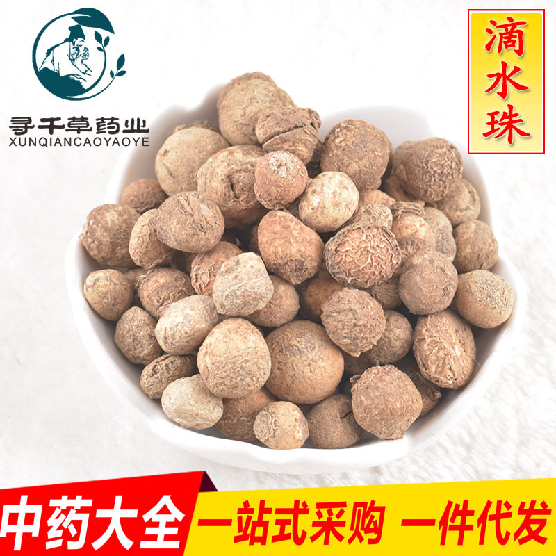 寻千草中药材批发 滴水珠 石半夏 一粒珠 蛇珠 支持检测 一件代发