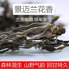 景迈2024年春茶 普洱茶生茶景迈山头春古树兰花香500克生态乔木茶