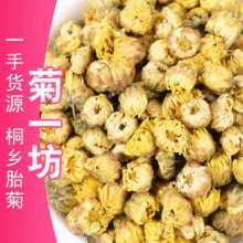 桐乡胎菊新货批发胎菊王散装农产品胎菊 杭白菊菊花茶 量大价优