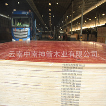 建筑模板木板贵州工程工地红板松木材 使用6-12次不开胶可签约