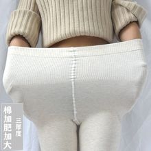 加大码棉打底裤袜女加绒中厚加厚秋冬款加肥胖mm200斤加长连裤袜