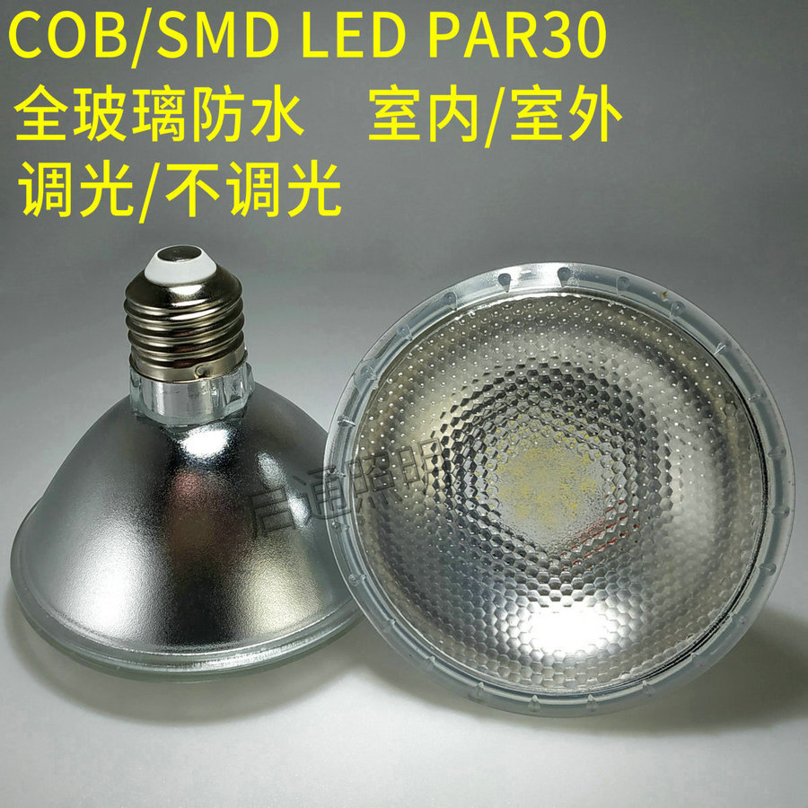 PAR30玻璃炮 12W 防水 调光LED灯泡PAR30射灯,暖白/正白光,宽电压