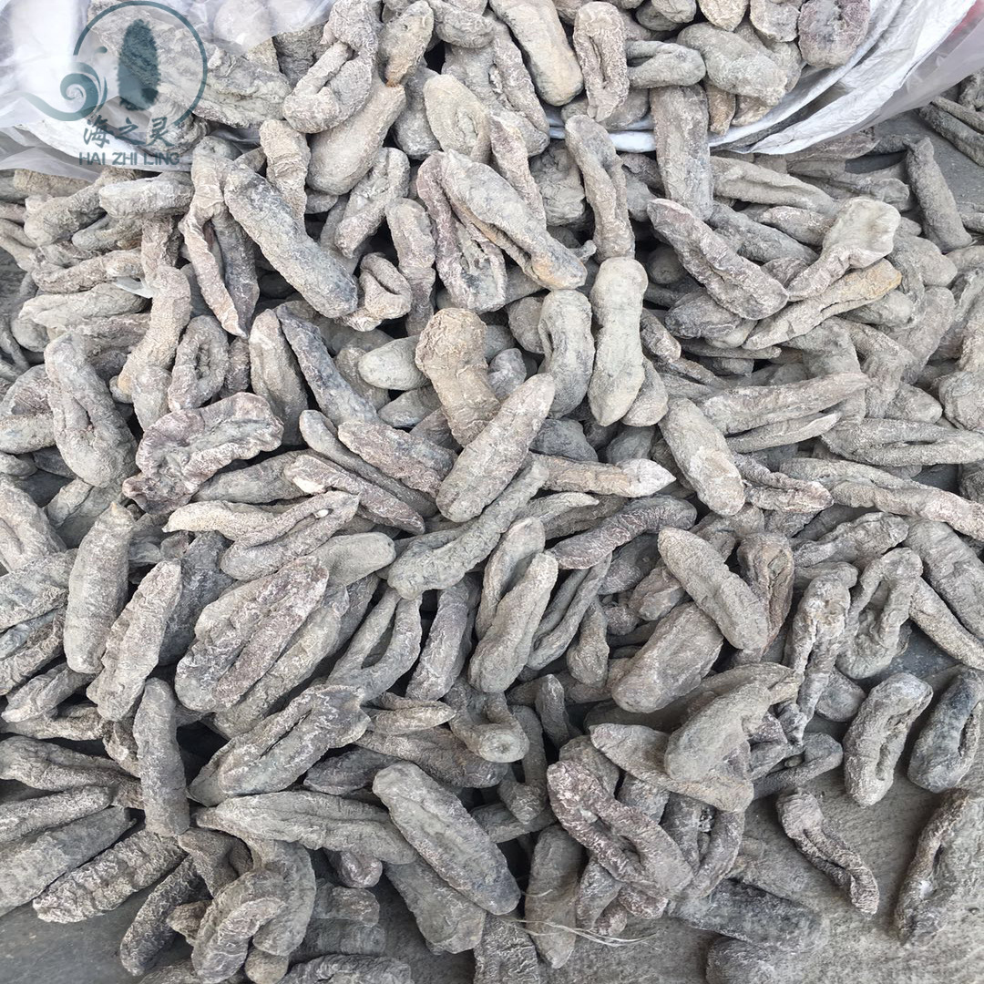 茄参批发足干海茄子参地瓜参紫黑中海茄子30头9.