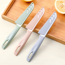 北欧色厨房水果刀具 不锈钢瓜果削皮刀 便携刀子 切水果切菜刀