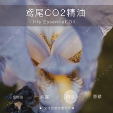 保加利亚 | 进口 有机 鸢尾根CO2精油 批发