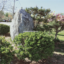 自然风景石 庭院景观石 雪浪石切片摆件 泰山石 园林草坪石置石