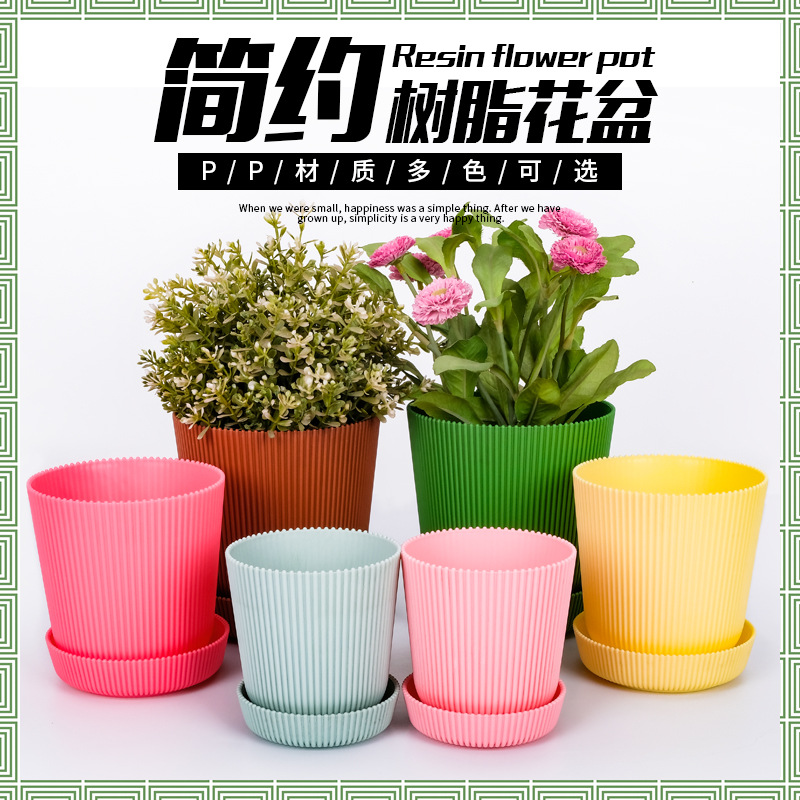创意简约迷你盆栽种植花卉绿植桌面观赏彩色多肉树脂塑料花盆容器